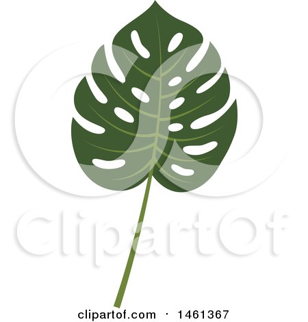 Clipart of a Split Leaf Philodendron Leaf - Royalty Free Vector Illustration by Cherie Reve