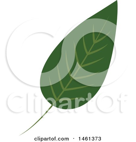 Clipart of a Green Eucalyptus Leaf - Royalty Free Vector Illustration by Cherie Reve