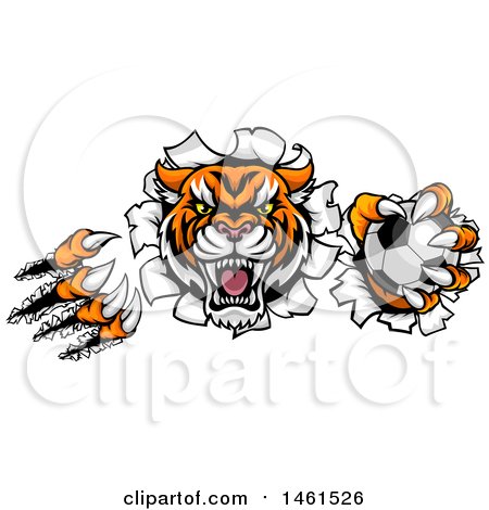 Clipart of a Vicious Tiger Mascot Slashing Through a Wall with a Soccer Ball - Royalty Free Vector Illustration by AtStockIllustration