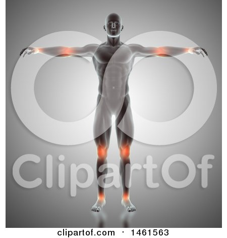 Clipart of a 3d Anatomical Man with Highlighted Joints over Gray - Royalty Free Illustration by KJ Pargeter