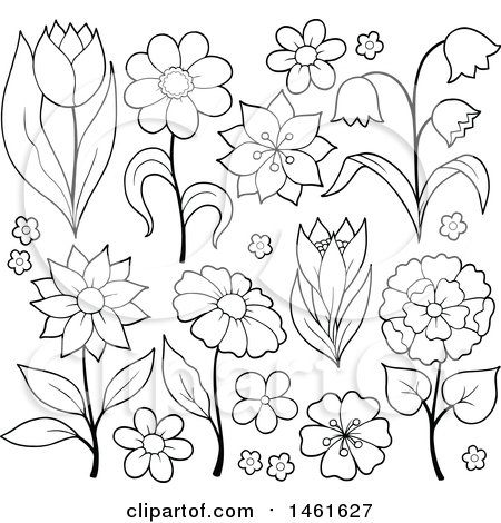 Clipart of Black and White Flowers - Royalty Free Vector Illustration by visekart