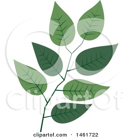 Clipart of a Branch of Green Leaves - Royalty Free Vector Illustration by Cherie Reve