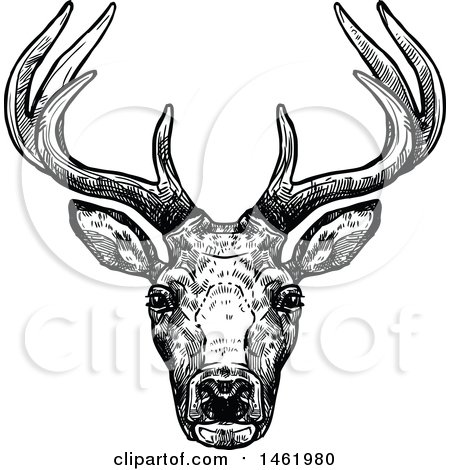 Clipart of a Sketched Black and White Reindeer Head - Royalty Free Vector Illustration by Vector Tradition SM