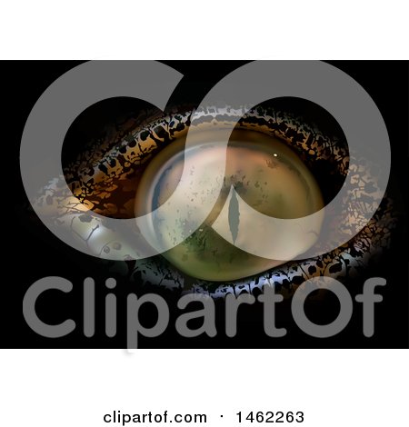 Clipart of a Crocodile Eye - Royalty Free Vector Illustration by dero