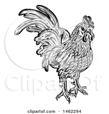 Clipart of a Rooster Chicken Black and White Woodcut Style - Royalty Free Vector Illustration by AtStockIllustration