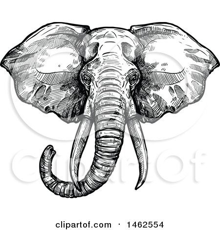 Clipart of a Sketched Black and White Elephant Head - Royalty Free Vector Illustration by Vector Tradition SM