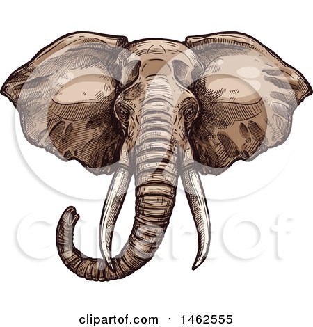 Clipart of a Sketched Elephant Head - Royalty Free Vector Illustration by Vector Tradition SM