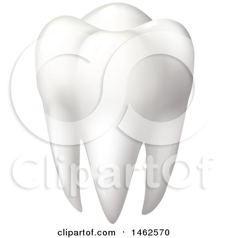 Clipart of a Human Tooth - Royalty Free Vector Illustration by Vector Tradition SM