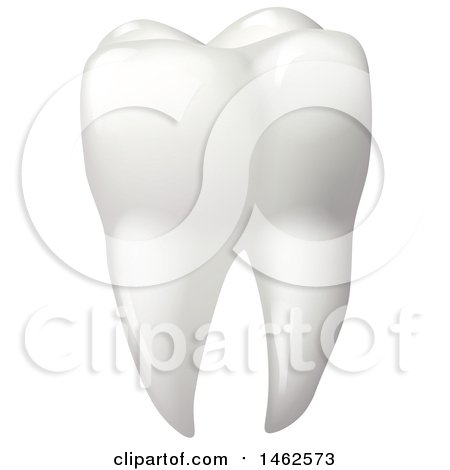 Clipart of a Human Tooth - Royalty Free Vector Illustration by Vector Tradition SM