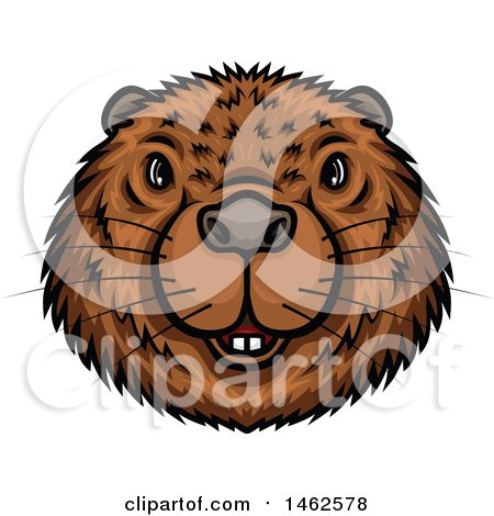 Clipart of a Beaver Mascot Face - Royalty Free Vector Illustration by Vector Tradition SM