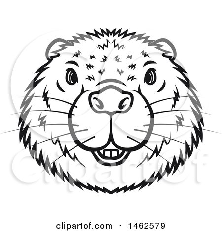 Clipart of a Black and White Beaver Mascot Face - Royalty Free Vector Illustration by Vector Tradition SM