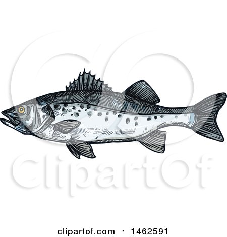 Clipart of a Sketched Fish - Royalty Free Vector Illustration by Vector Tradition SM