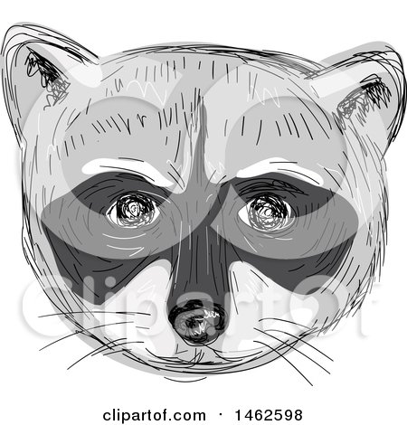 Clipart of a Grayscale Racoon Face, in Drawing Sketch Style - Royalty Free Vector Illustration by patrimonio