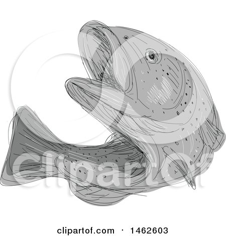 Clipart of a Grayscale Cutthroat Trout Fish, in Drawing Sketch Style - Royalty Free Vector Illustration by patrimonio