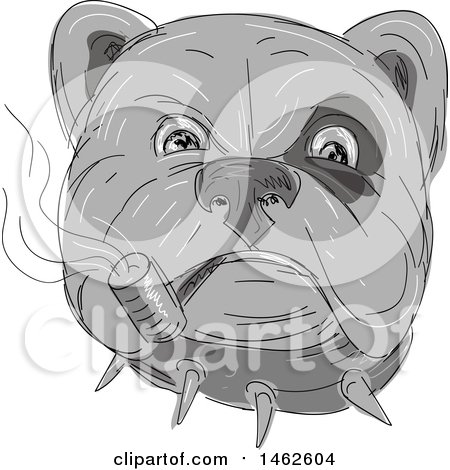 Clipart of a Grayscale Bulldog Face Smoking a Pipe, in Drawing Sketch Style - Royalty Free Vector Illustration by patrimonio