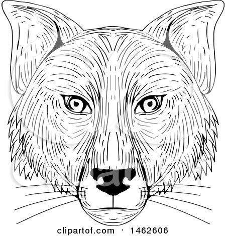 Clipart of a Black and White Fox Face, in Drawing Sketch Style - Royalty Free Vector Illustration by patrimonio