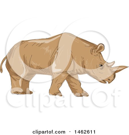 Clipart of a Walking Northern White Rhinoceros, in Drawing Sketch Style - Royalty Free Vector Illustration by patrimonio