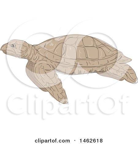 Clipart of a Swimming Hawksbill Sea Turtle in Profile, in Drawing Sketch Style - Royalty Free Vector Illustration by patrimonio