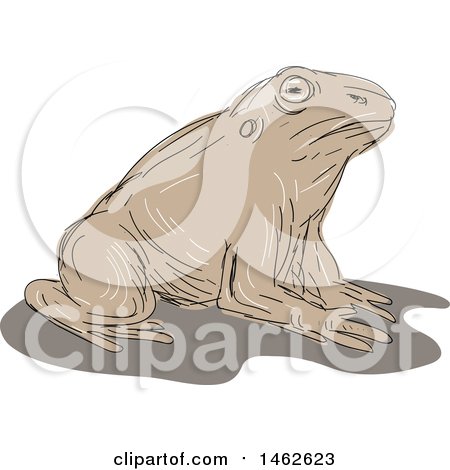 Clipart of a Resting Toad, in Drawing Sketch Style - Royalty Free Vector Illustration by patrimonio