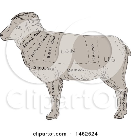 Clipart of a Lamb Profile Showing Cuts of Meat, in Drawing Sketch Style - Royalty Free Vector Illustration by patrimonio