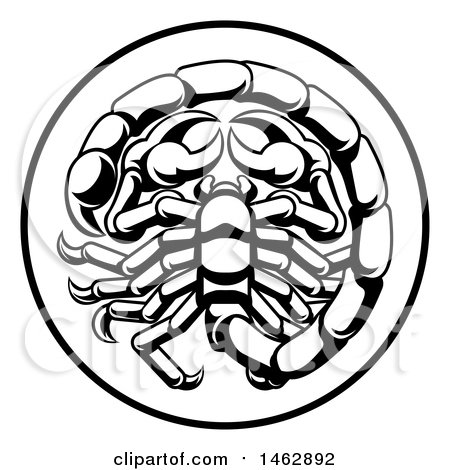 Clipart of a Black and White Zodiac Horoscope Astrology Scorpio Circle Design - Royalty Free Vector Illustration by AtStockIllustration