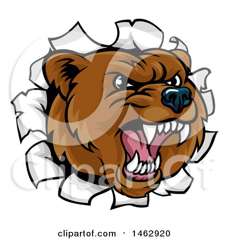 Clipart of a Mad Grizzly Bear Mascot Head Breaking Through a Wall - Royalty Free Vector Illustration by AtStockIllustration