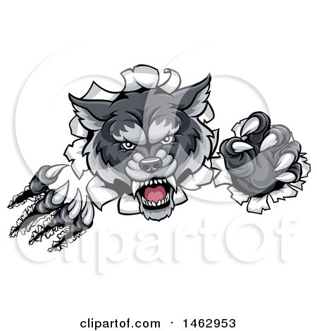 Clipart of a Ferocious Gray Wolf Slashing Through a Wall - Royalty Free Vector Illustration by AtStockIllustration