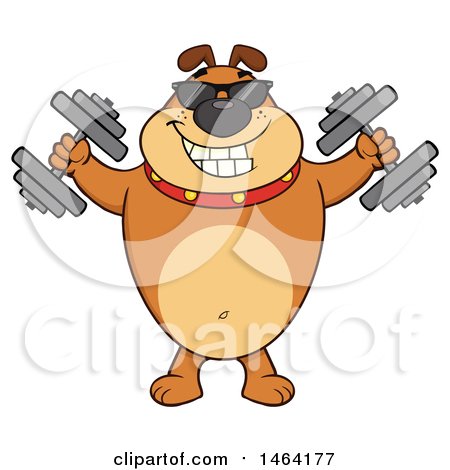 Clipart of a Brown Bulldog Working out with Dumbbells - Royalty Free Vector Illustration by Hit Toon