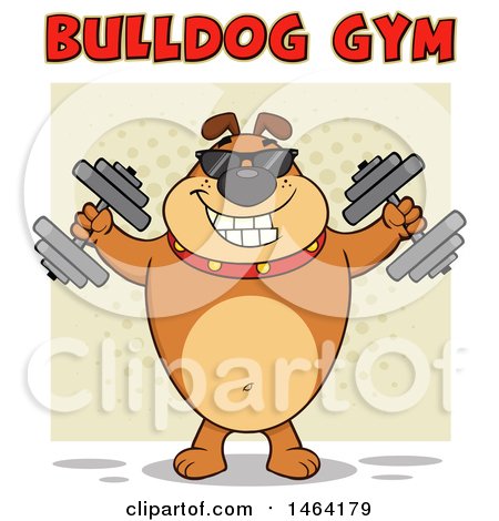 Clipart of a Brown Bulldog Working out with Dumbbells Under Text - Royalty Free Vector Illustration by Hit Toon