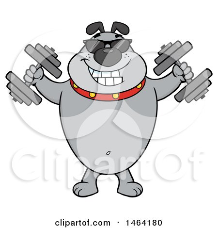 Clipart of a Gray Bulldog Working out with Dumbbells - Royalty Free Vector Illustration by Hit Toon