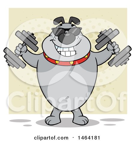 Clipart of a Gray Bulldog Working out with Dumbbells over a Tan Square - Royalty Free Vector Illustration by Hit Toon