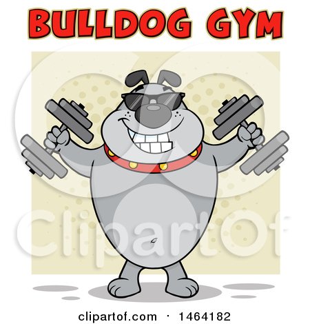 Clipart of a Gray Bulldog Working out with Dumbbells Under Text - Royalty Free Vector Illustration by Hit Toon