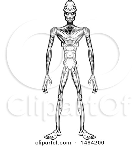 Clipart of a Black and White Standing Alien - Royalty Free Vector Illustration by Cory Thoman