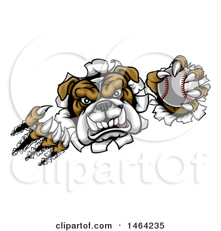 Clipart of a Vicious Tough Bulldog Monster Shredding Through a Wall with a Baseball in One Hand - Royalty Free Vector Illustration by AtStockIllustration