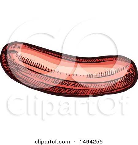 Clipart of a Sketched Sausage - Royalty Free Vector Illustration by Vector Tradition SM