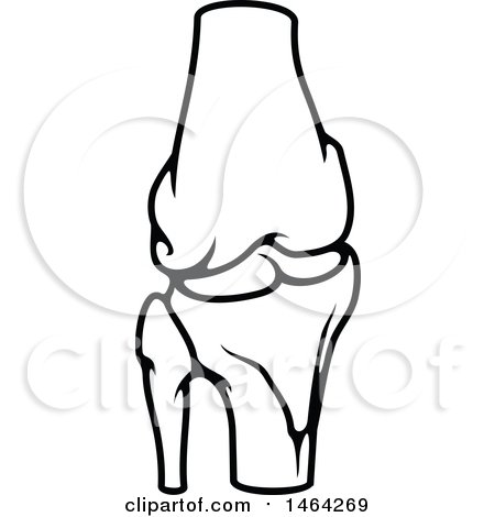 Clipart of a Black and White Human Knee Joint - Royalty Free Vector Illustration by Vector Tradition SM