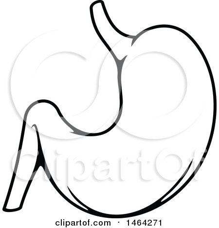 Clipart of a Black and White Human Stomach - Royalty Free Vector Illustration by Vector Tradition SM