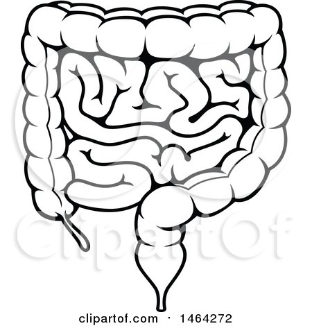 Clipart of a Black and White Human Human Intestines - Royalty Free Vector Illustration by Vector Tradition SM