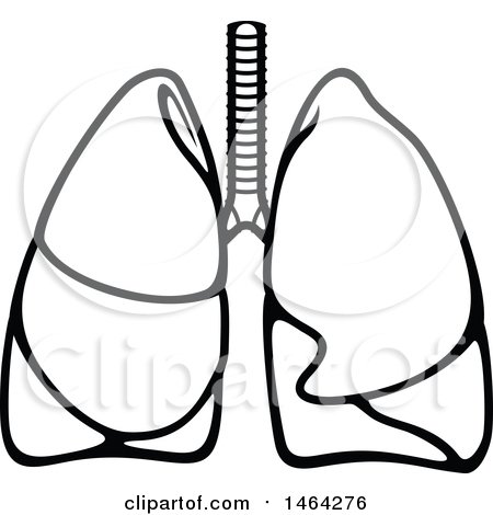 Clipart of a Black and White Human Pair of Human Lungs - Royalty Free Vector Illustration by Vector Tradition SM