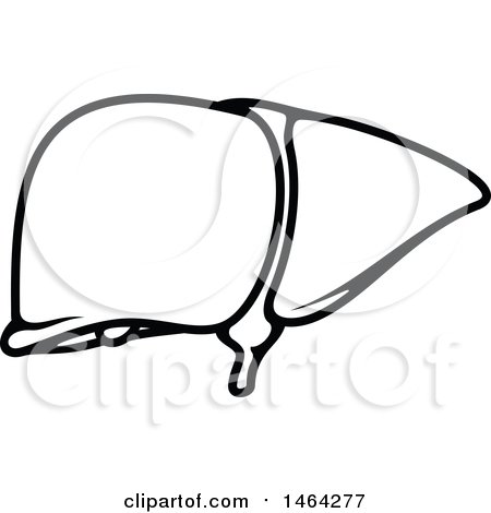 Clipart of a Black and White Human Liver - Royalty Free Vector Illustration by Vector Tradition SM