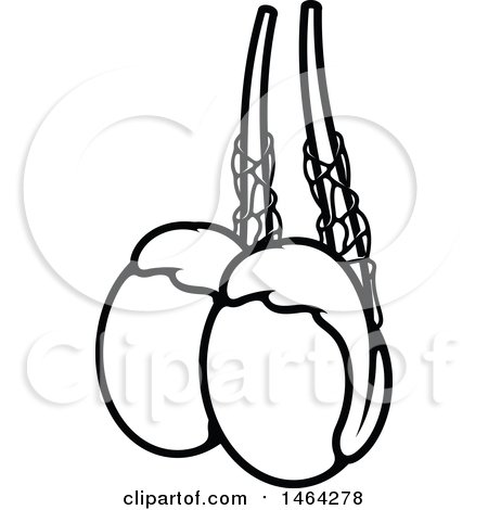 Clipart of a Black and White Human Testicles - Royalty Free Vector Illustration by Vector Tradition SM