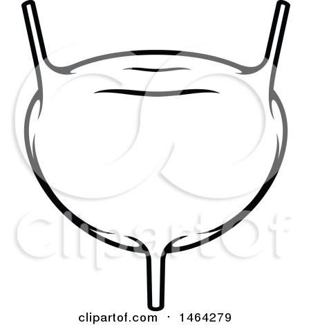 Clipart of a Black and White Human Bladder - Royalty Free Vector Illustration by Vector Tradition SM