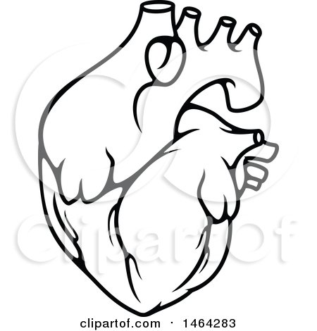 Clipart of a Black and White Human Heart - Royalty Free Vector Illustration by Vector Tradition SM