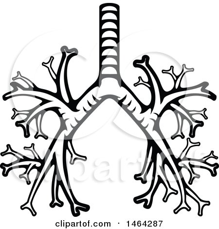 Clipart of a Black and White Human Trachea - Royalty Free Vector Illustration by Vector Tradition SM