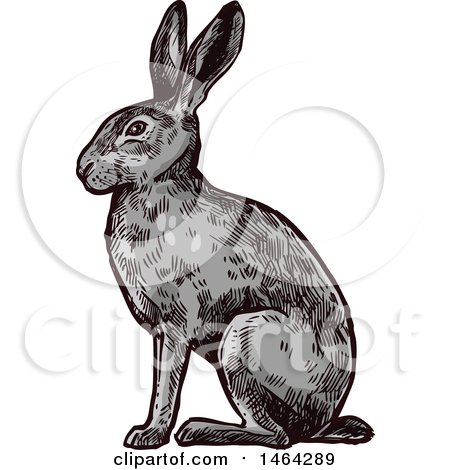 Clipart of a Sketched Rabbit - Royalty Free Vector Illustration by Vector Tradition SM