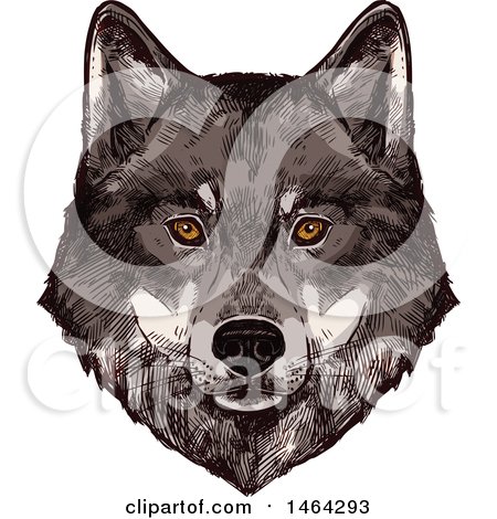 Clipart of a Sketched Wolf Face - Royalty Free Vector Illustration by Vector Tradition SM