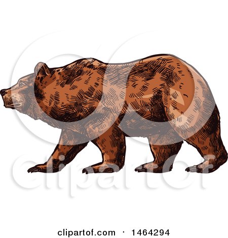 Clipart of a Sketched Bear - Royalty Free Vector Illustration by Vector Tradition SM