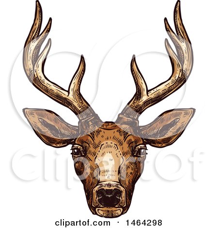 Clipart of a Sketched Deer - Royalty Free Vector Illustration by Vector Tradition SM