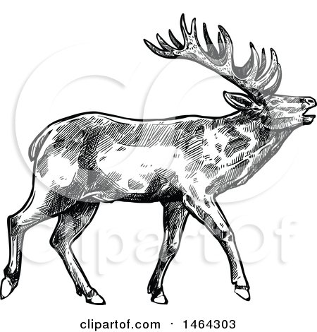 Clipart of a Sketched Black and White Deer - Royalty Free Vector Illustration by Vector Tradition SM