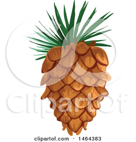 Clipart of a Pinecone - Royalty Free Vector Illustration by Vector Tradition SM